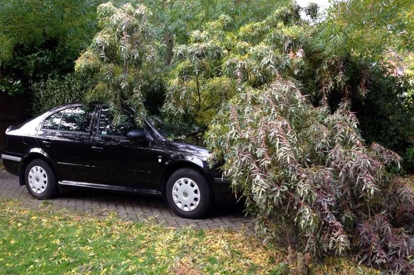 A fallen tree landed on Lawrence Hopkins's car in Chartham