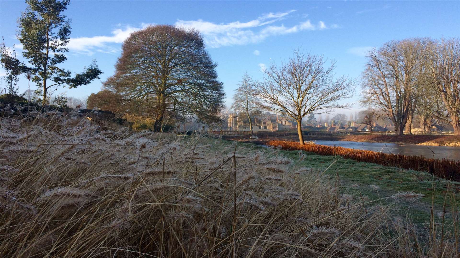 Get along and see the beauty of the reeds at Hever