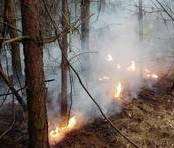 West Blean Woods fire