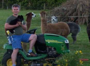 With some of his 22 alpacas in New Zealand before life changed