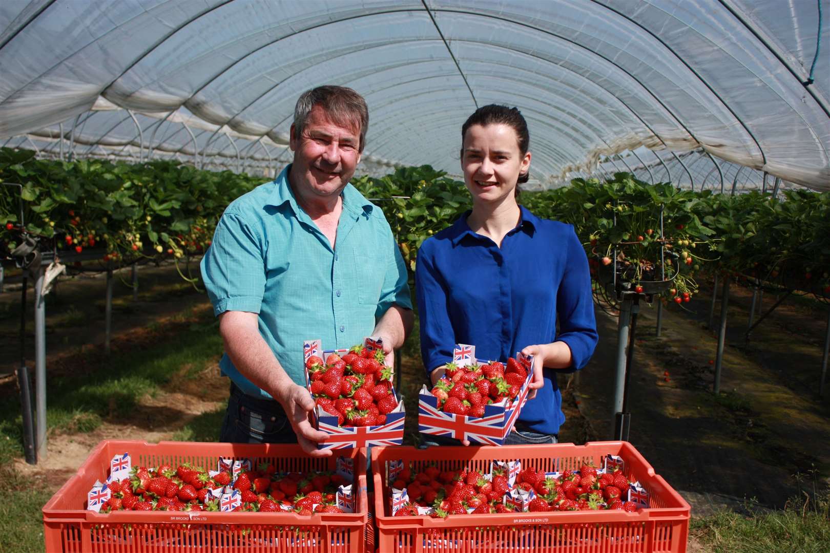 Alastair Brooks is celebrating strawberry season