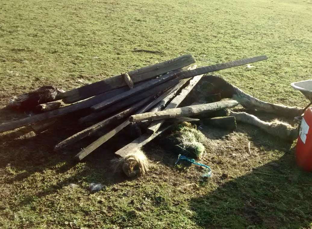 The body of a horse dumped underneath a pile of planks in a field in Horton Kirby