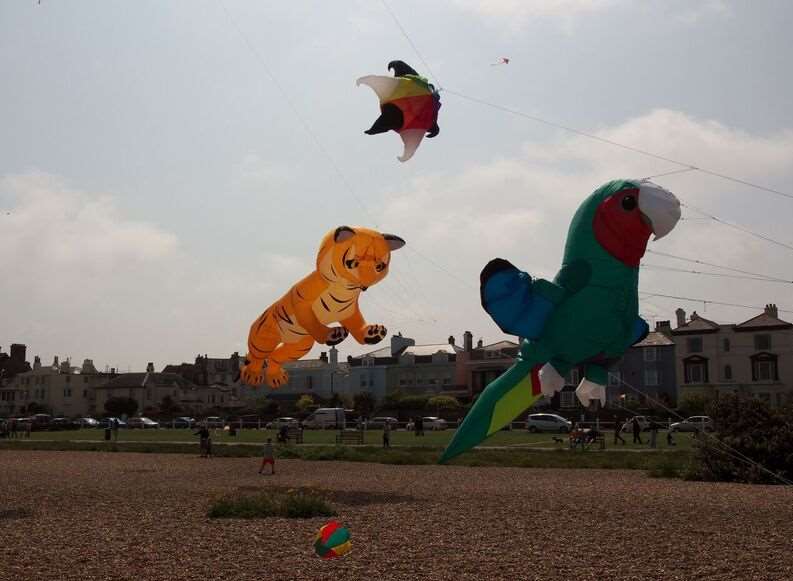 Tiger and a parrot kites were brought to Walmer by Kent Kite Fliers. PICTURE Jim Whalley