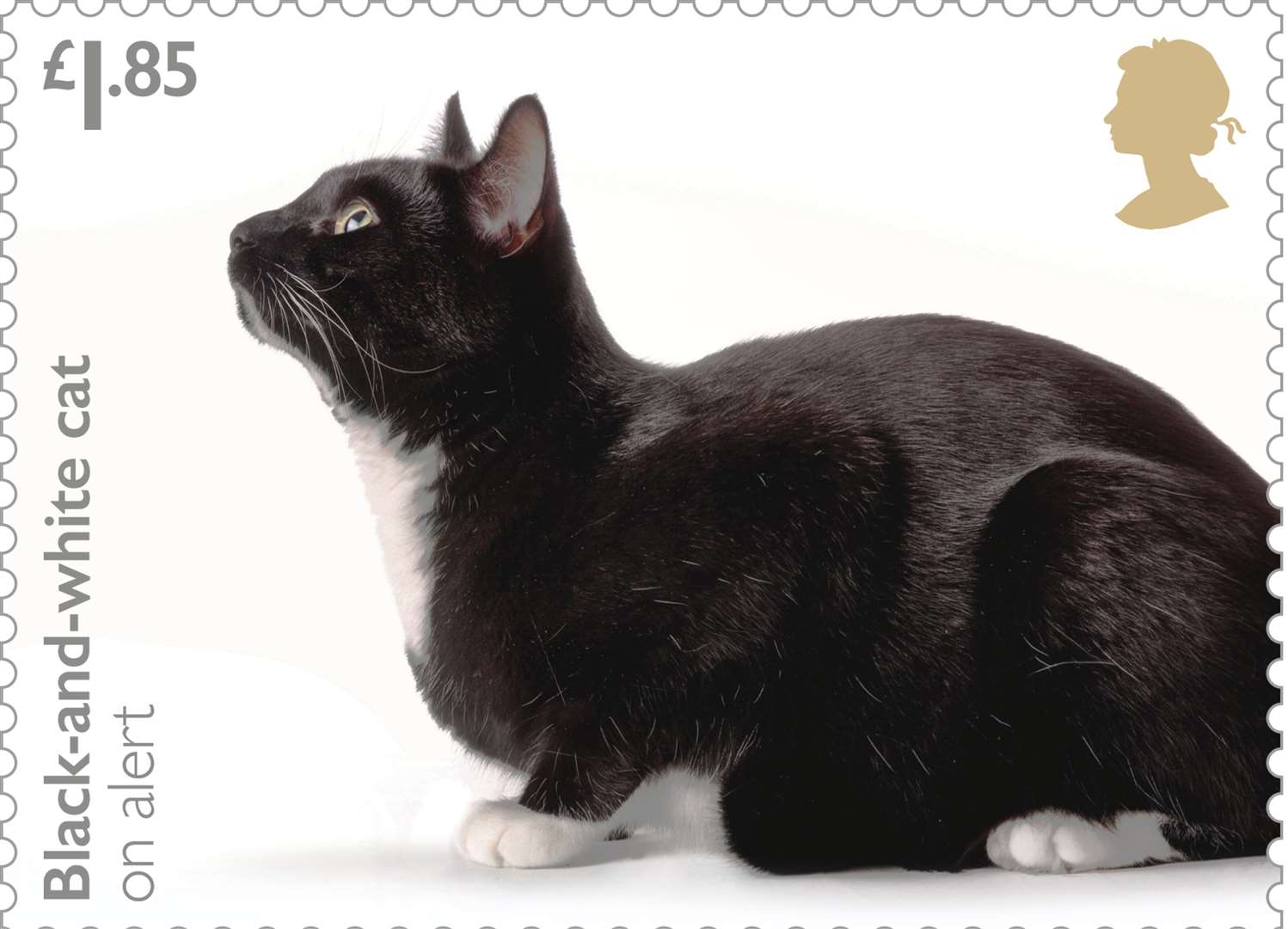 A black and white moggie also made the final eight stamps. Picture: Royal Mail.