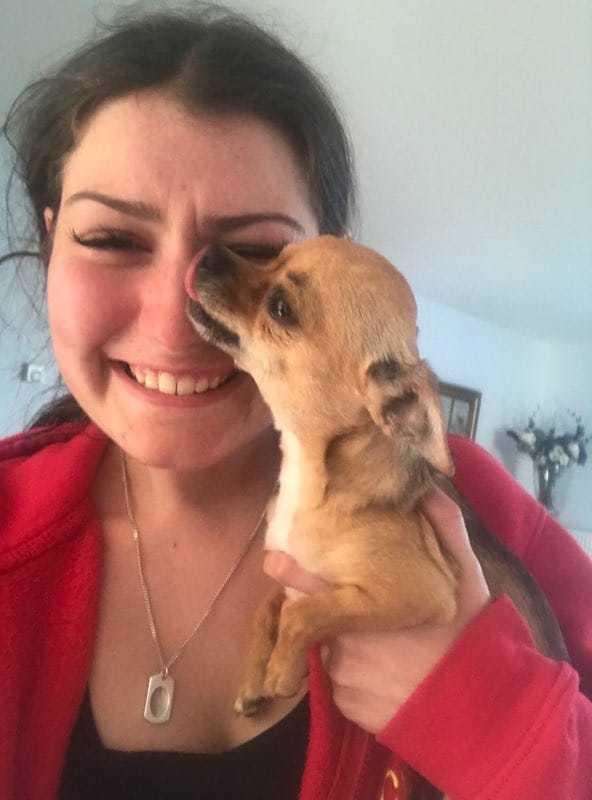 Reunited: missing dog Jasmine with owner. Charlotte Silver Picture: Philippa Myhill (2752119)