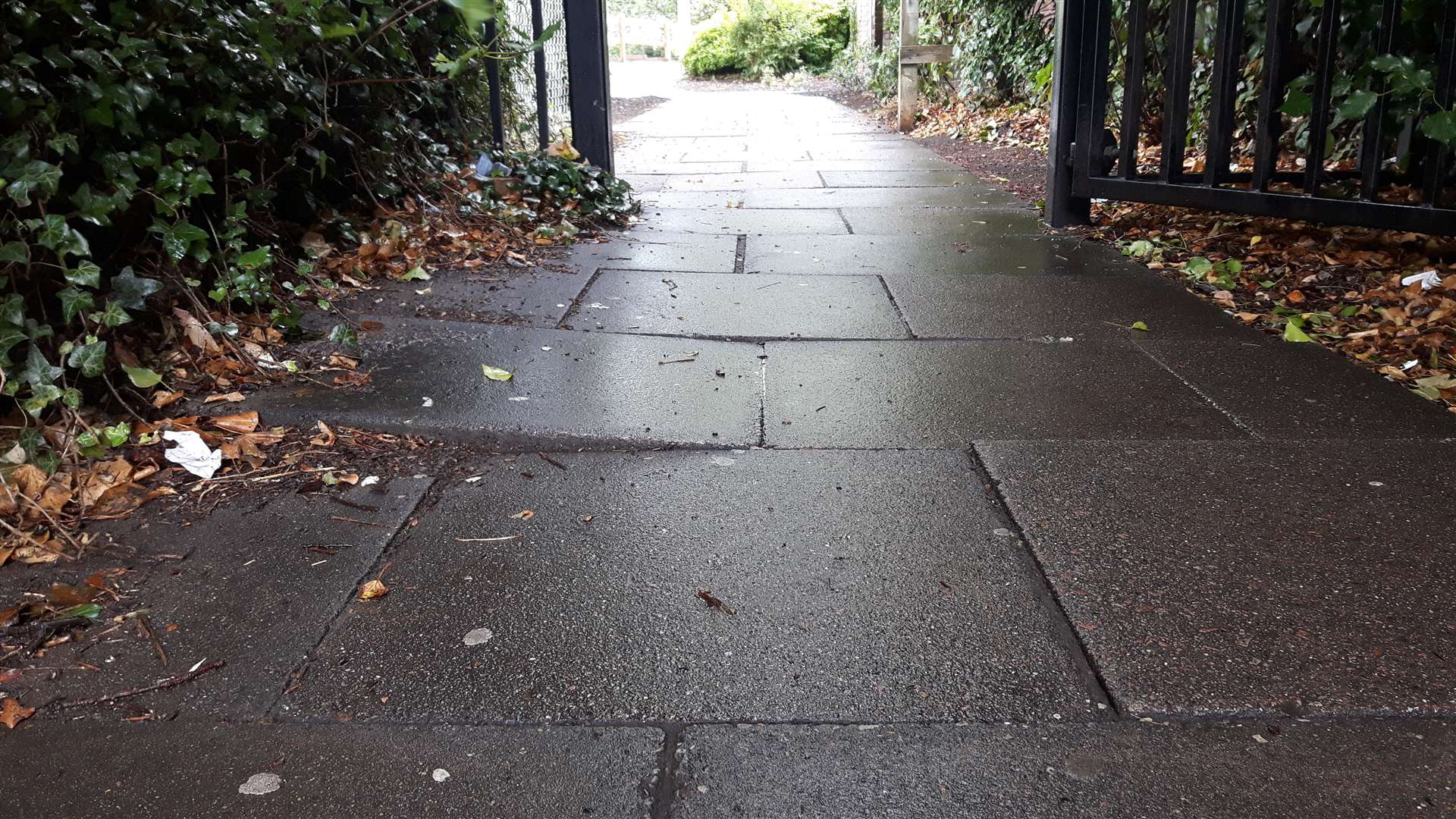 The raised paving slap on the path that connects Queen Street to Park Street