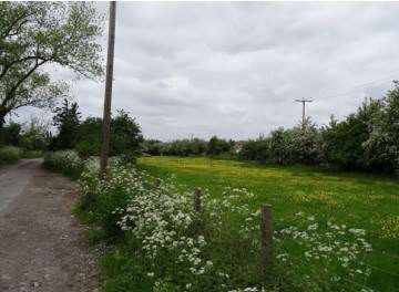 Plans to build 62 houses on pastureland at The Slips off Elm Lane, Minster, have been approved.