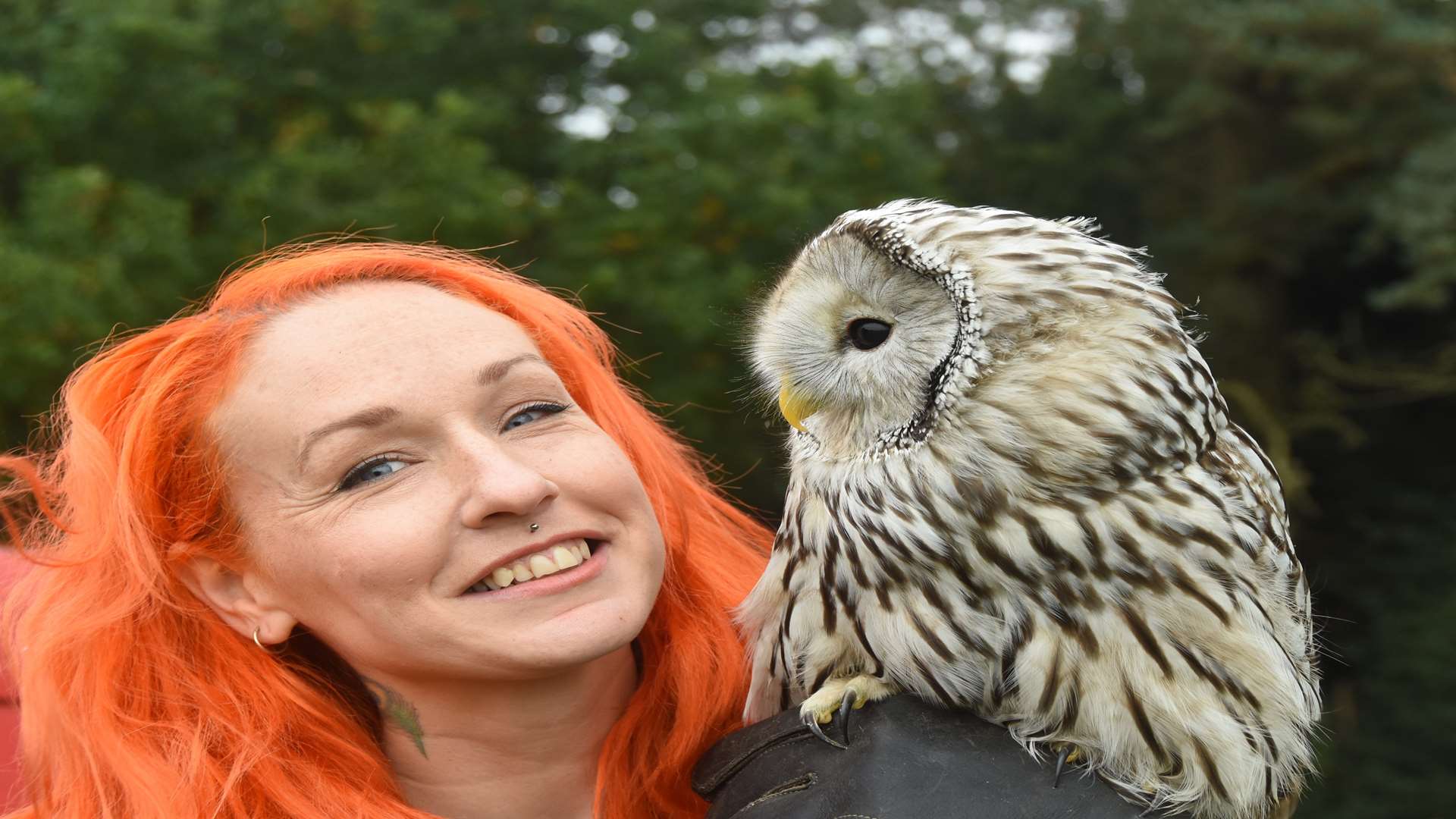 Serena Henderson from Kent Cider Company at Belmont House last year with a tawny owl Picture: Barry Duffield