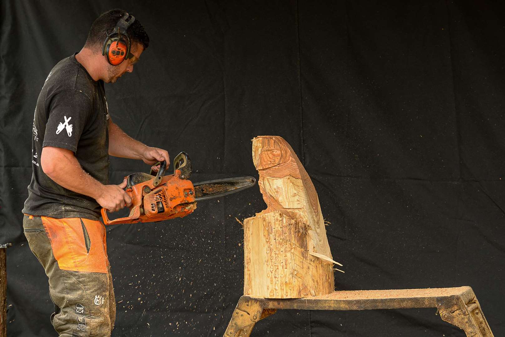 Chainsaw artist Mike Burgess creating a wooden sculpture at the Sheppey Summer Spectacular. Picture: Tony Jones (13768516)