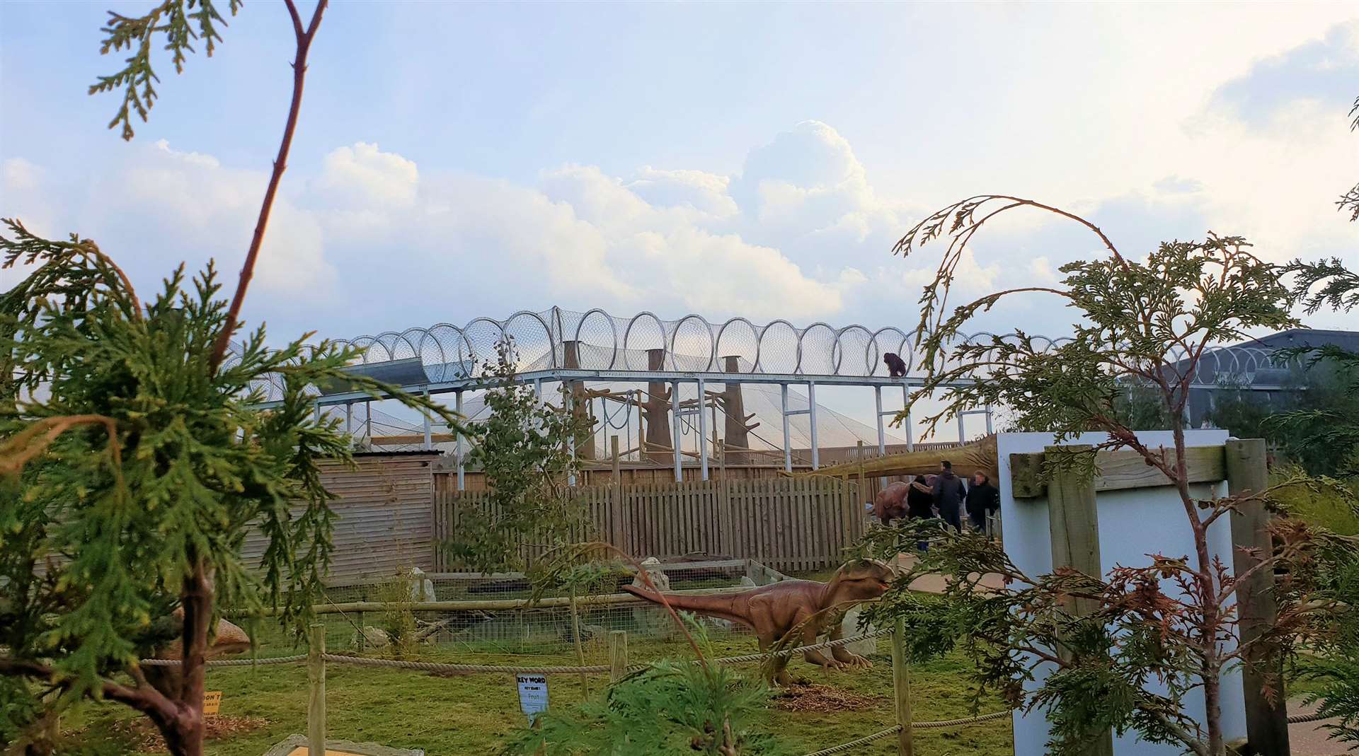 Park visitors will be able to see the apes as they walk along the corridor