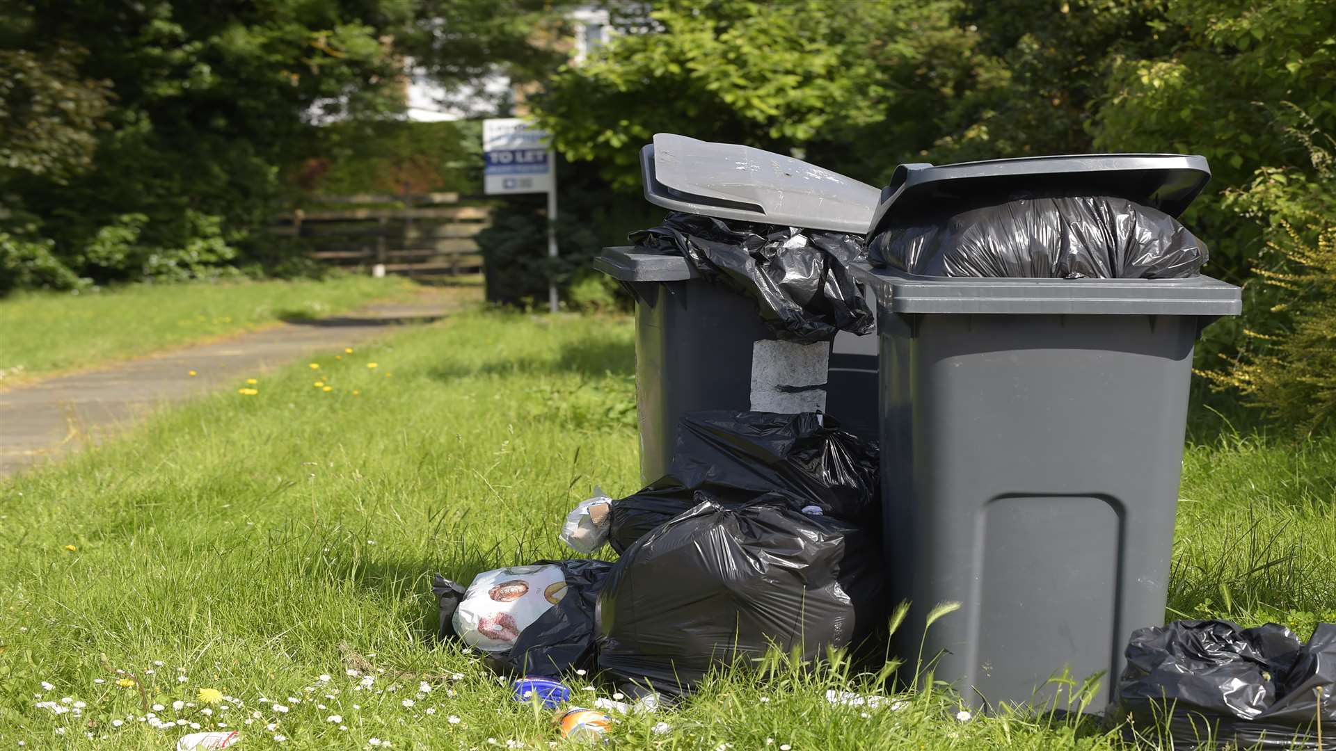 Overflowing rubbish bins in Headcorn Drive