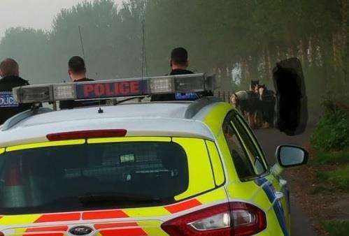 Horses rounded up at Lower Halstow by police. Picture: Kent Police (1584335)