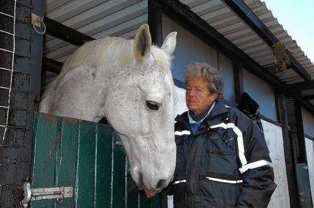 H, a male Irish Draft cross. Stella King, yard manager at Canterbury Horse Rescue.