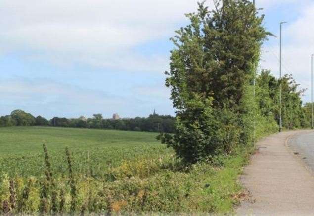 The fields off Shottendane Road which could be developed with 450 new homes. Picture: Picture: Gladman/CSA Environmental