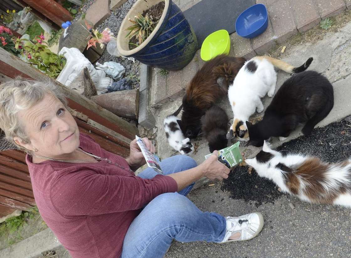 The RSPCA's Nicola Honey with some of the feral cats at the Happy Valley holiday park, Leysdown