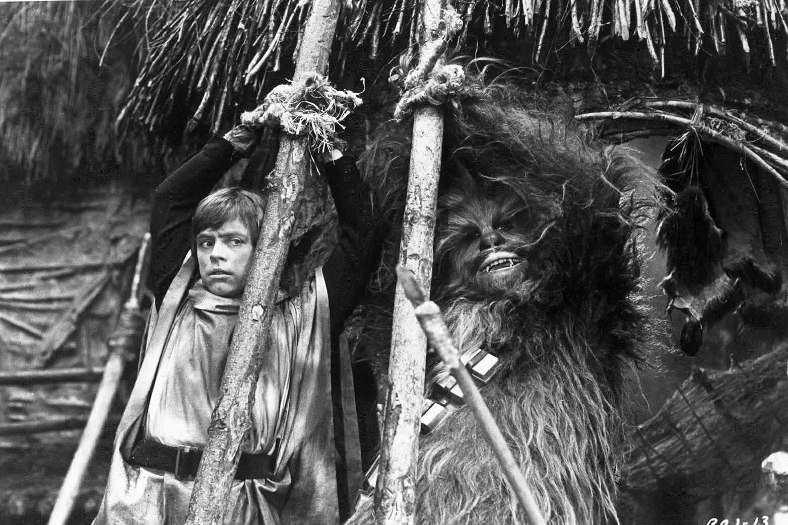 Mark Hamill as Luke Skywalker and Chubacca in Return of the Jedi