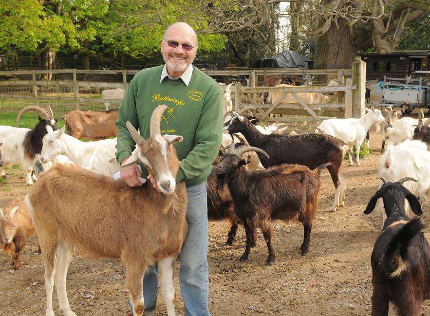 Bob Hitch with some of the goats at Buttercups Goat Sanctuary in Boughton Monchelsea