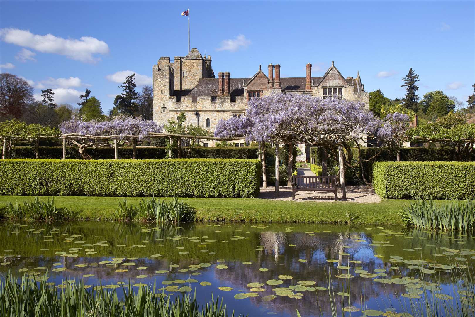 Vivid greens and stunning purples of late spring with the wisteria and the castle as a backdrop