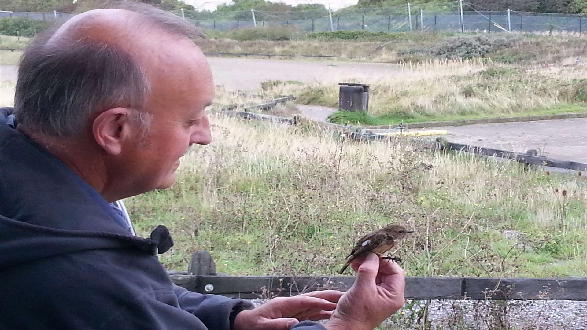 Pete Findlay about to release a robin ringed at one of the events at Samphire Hoe