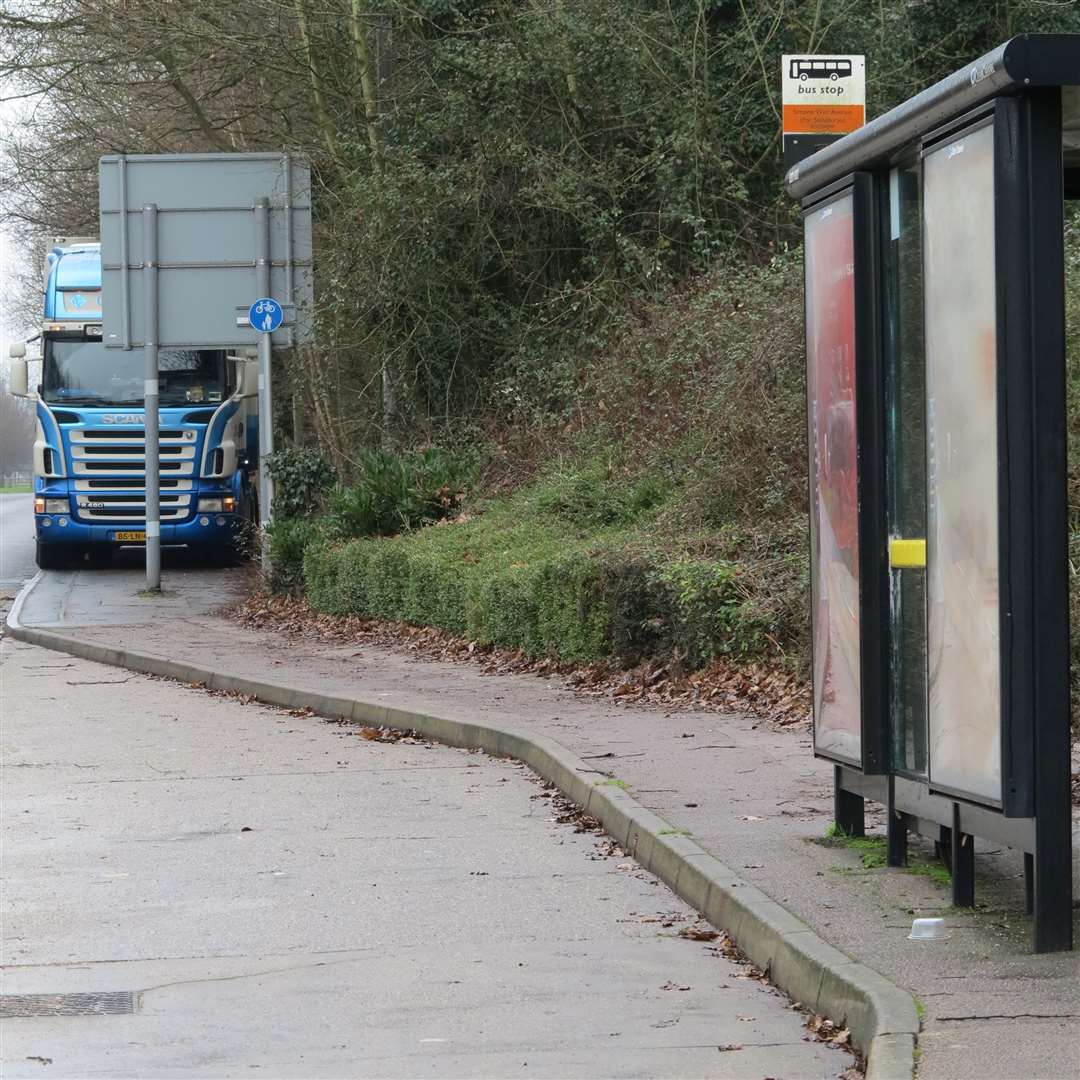 This Dutch lorry completely blocked access for pedestrians by parking on the pavement in Simone Weil Avenue, Ashford Picture courtesy: Andy Clark