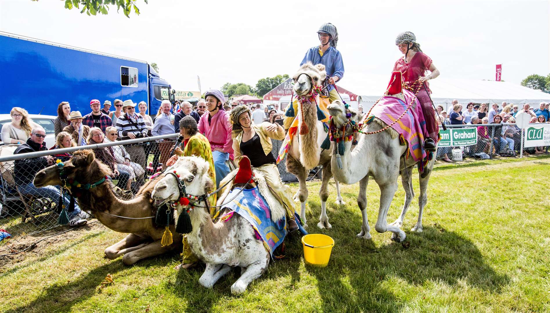 The racing camels will be the main ring attraction