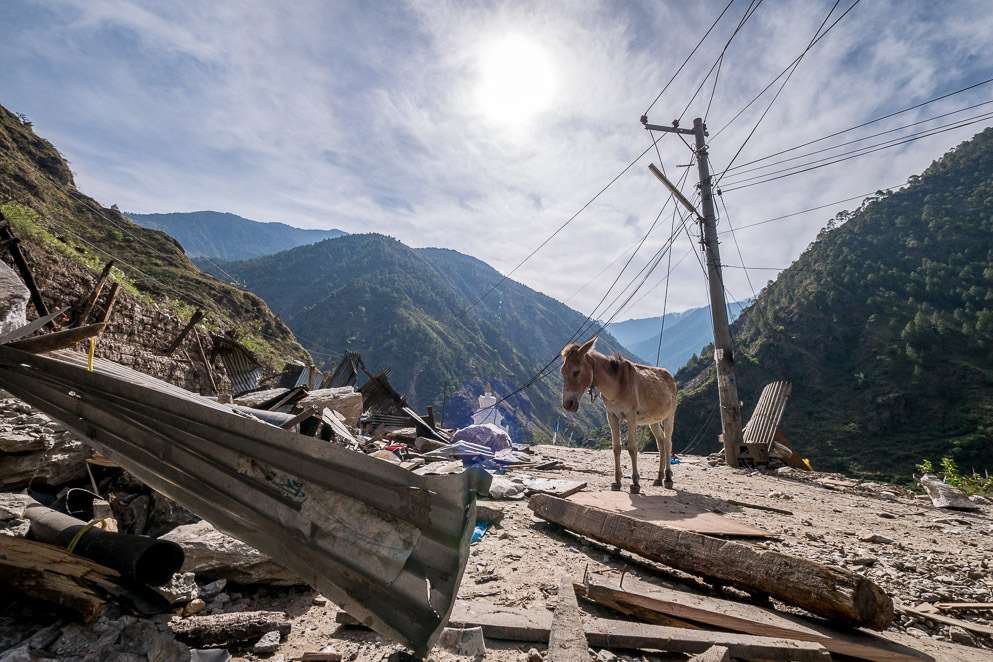 Disaster response workers from MAF survey road damage after a landslide following the first Nepal earthquake. Picture: Dave Forney MAF