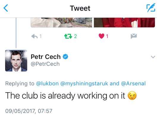 Arsenal goalkeeper Petr Cech informed Anita the club was preparing something special