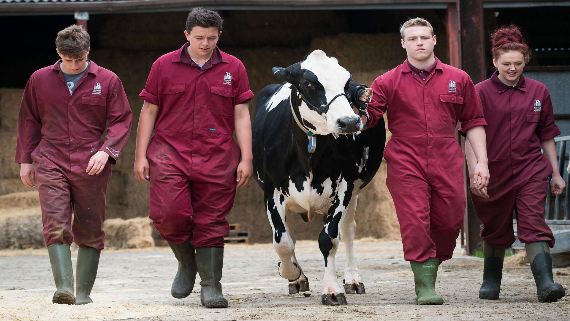 Hadlow College offers Foundation degrees in animal conservation and biodiversity, applied animal behavioural science and welfare, aquaculture and fisheries management, equine training and management, commercial horticulture and landscape and countryside management