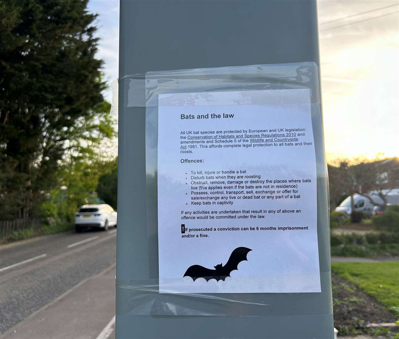 The vandal taped information about Uk bat law to the speed camera