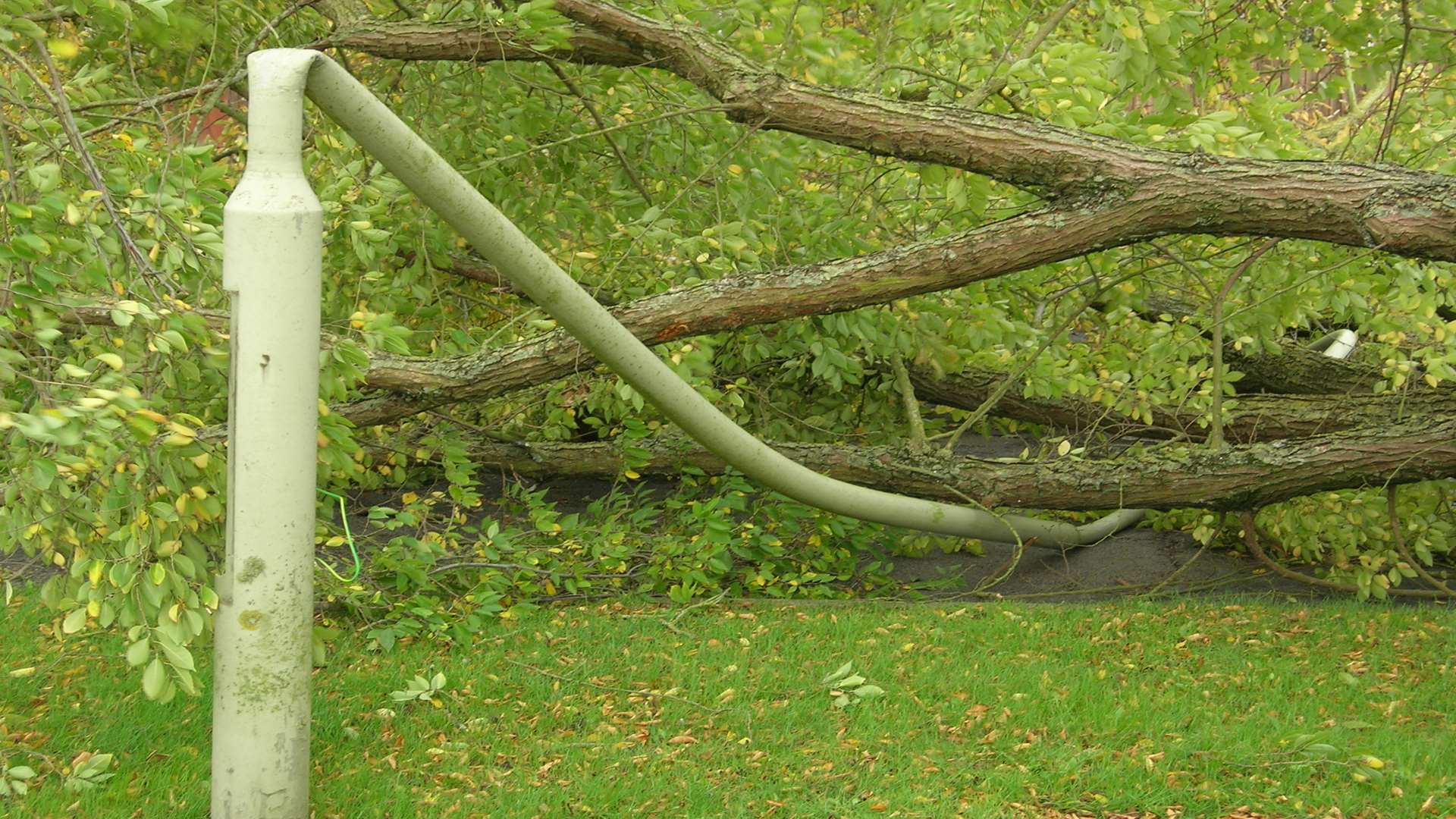 A fallen tree in Godinton Park, near Ashford, brings down a lamp post. Picture: John Emms