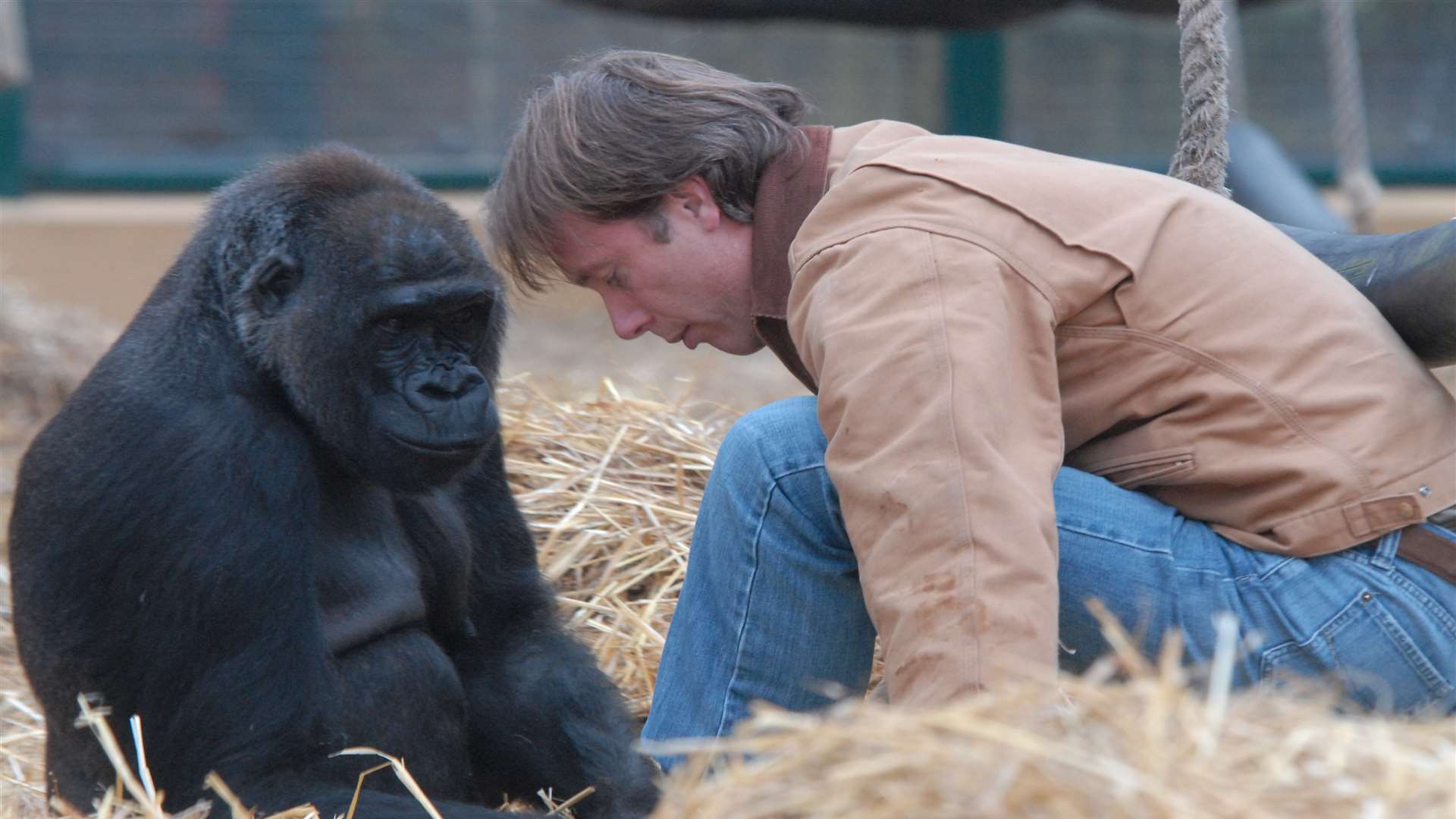 Baby gorilla Oundi with Damian Aspinall