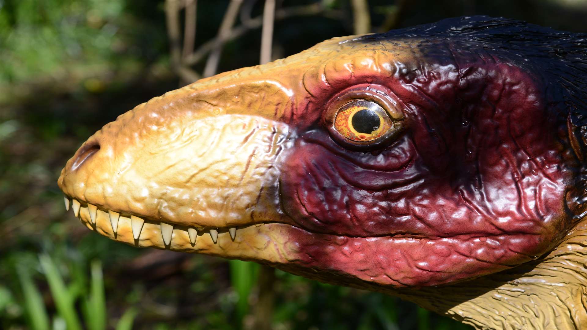 One exhibit at Port Lympne Reserve's new Dinosaur Forest.