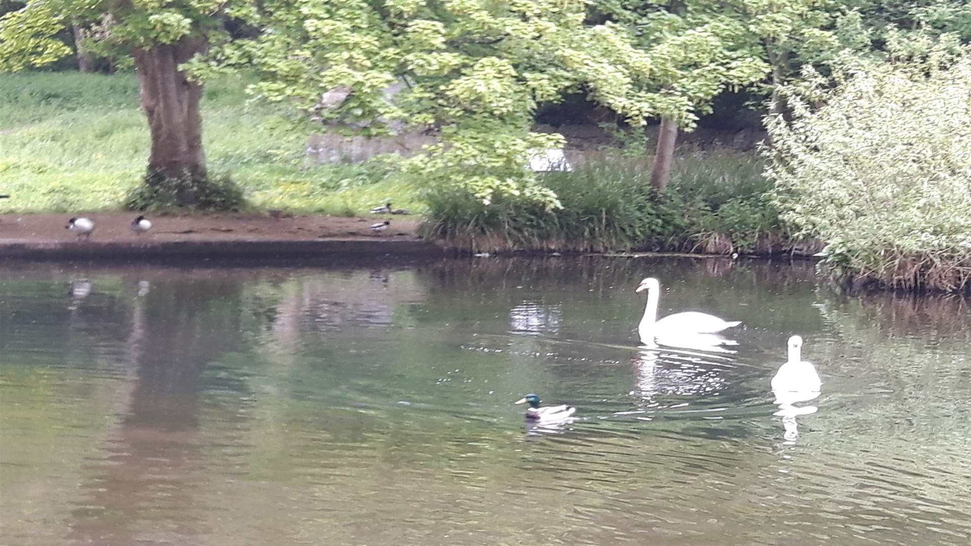 The area is a popular beauty spot