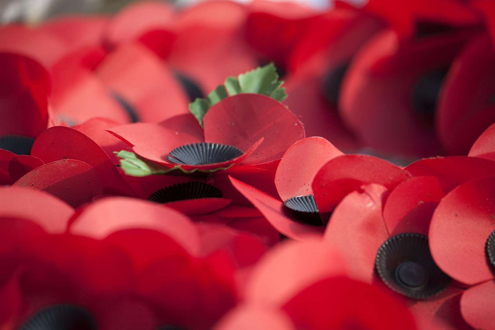 Pay your respects on Remembrance Sunday. Picture: iStock