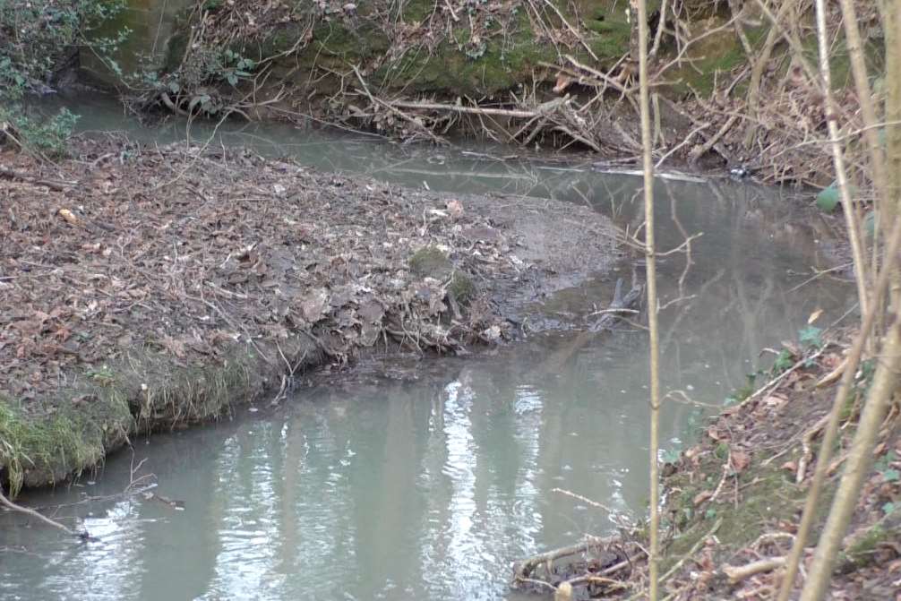 Somerhill Stream: third most polluted of those tested