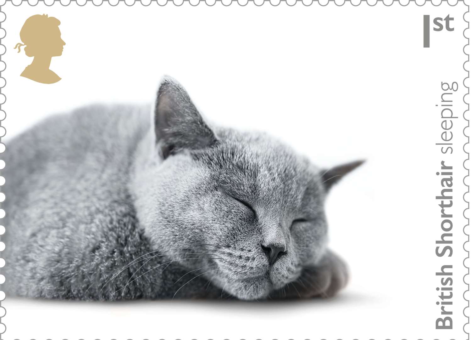 The British Shorthair was also chosen for the final collection. Picture: Royal Mail.