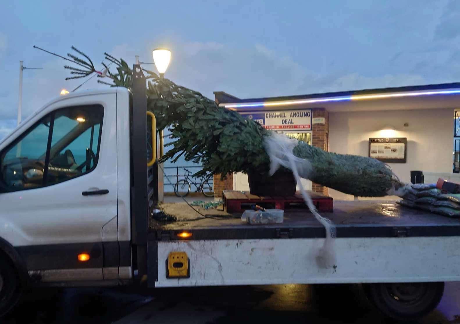 The new tree was delivered to the pier on Thursday evening. Picture: Archers Low Garden Centre and Nursery