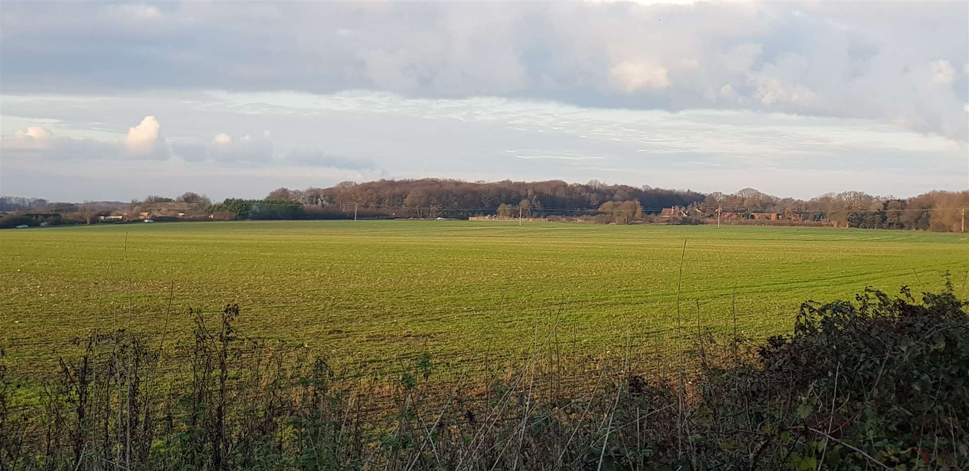 How the garden village site looks now: the view from Chapel Lane looking towards Hempstead