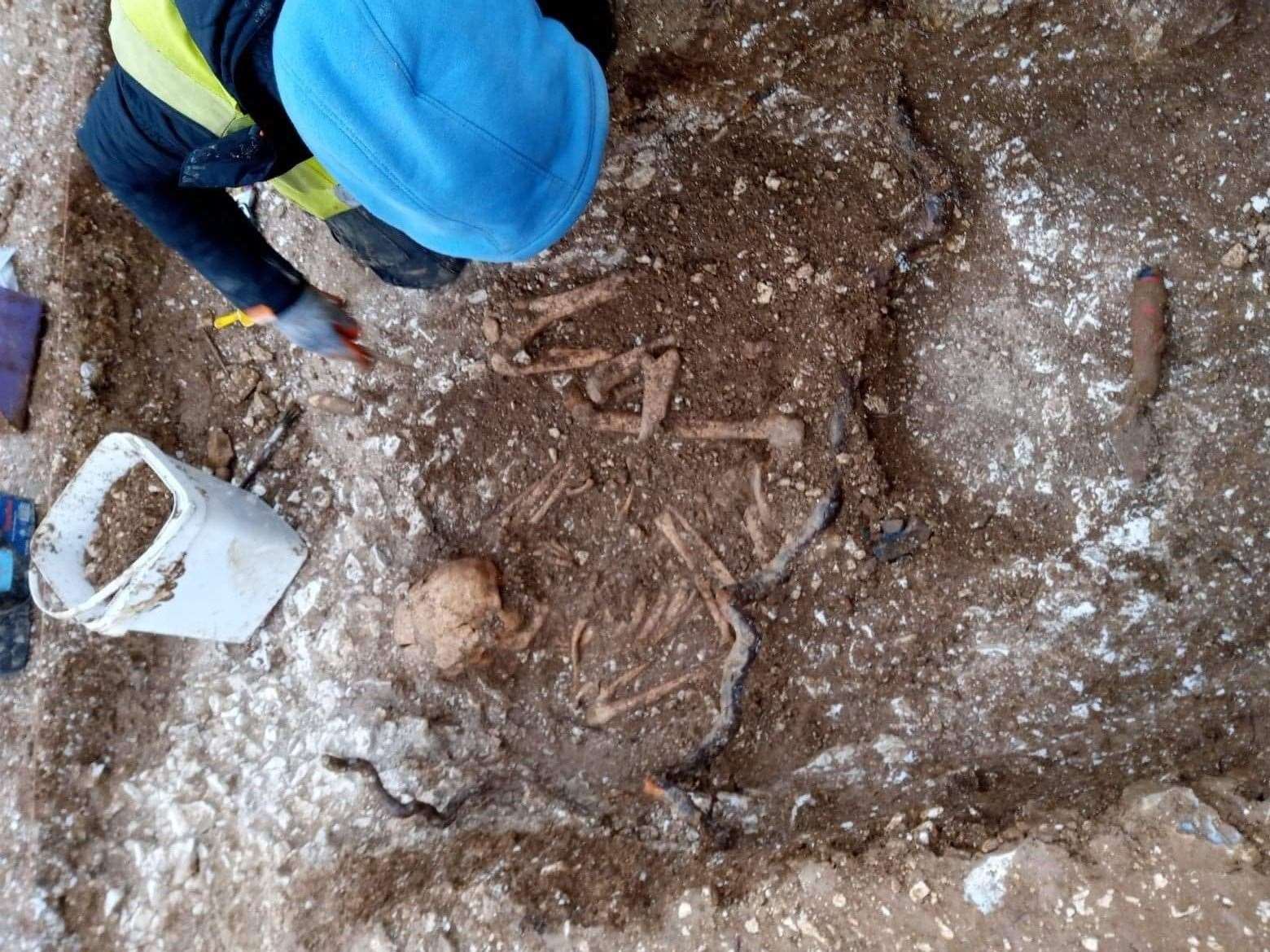 One of the skeletons found at Aylesham (29011957)