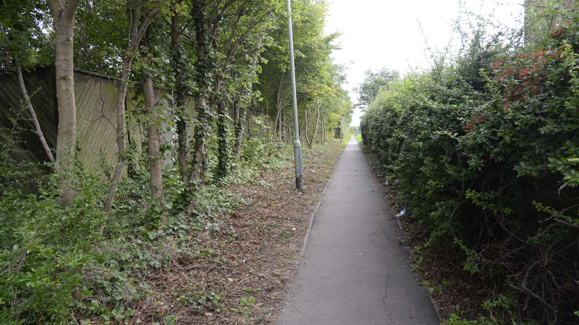 Cllr Steve Bailey hopes rats will not return to a public footpath