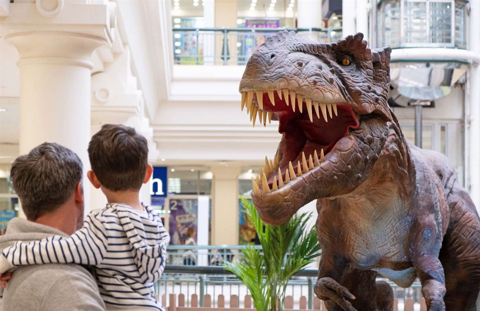Dino Live at Royal Victoria Place