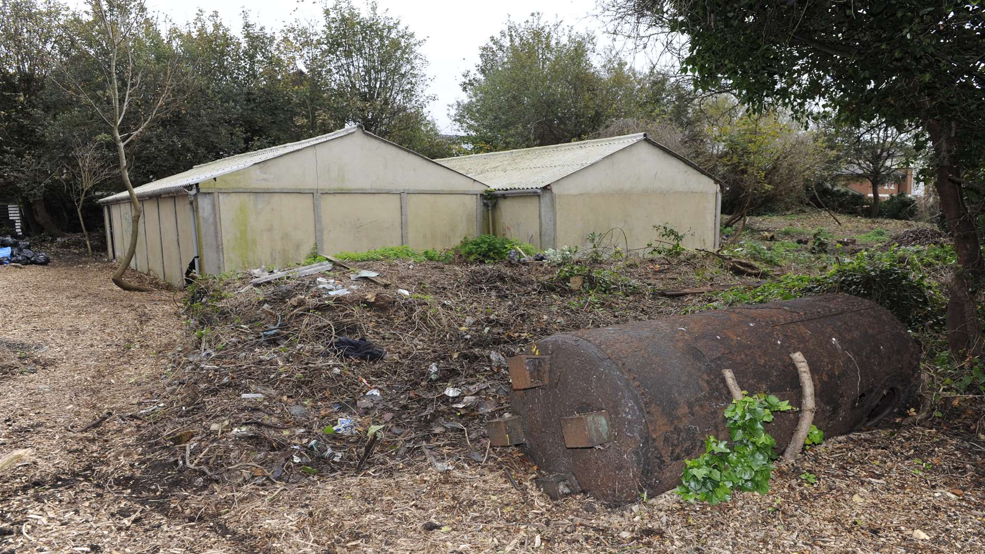 The sheds and an old tank which were hidden by ivy