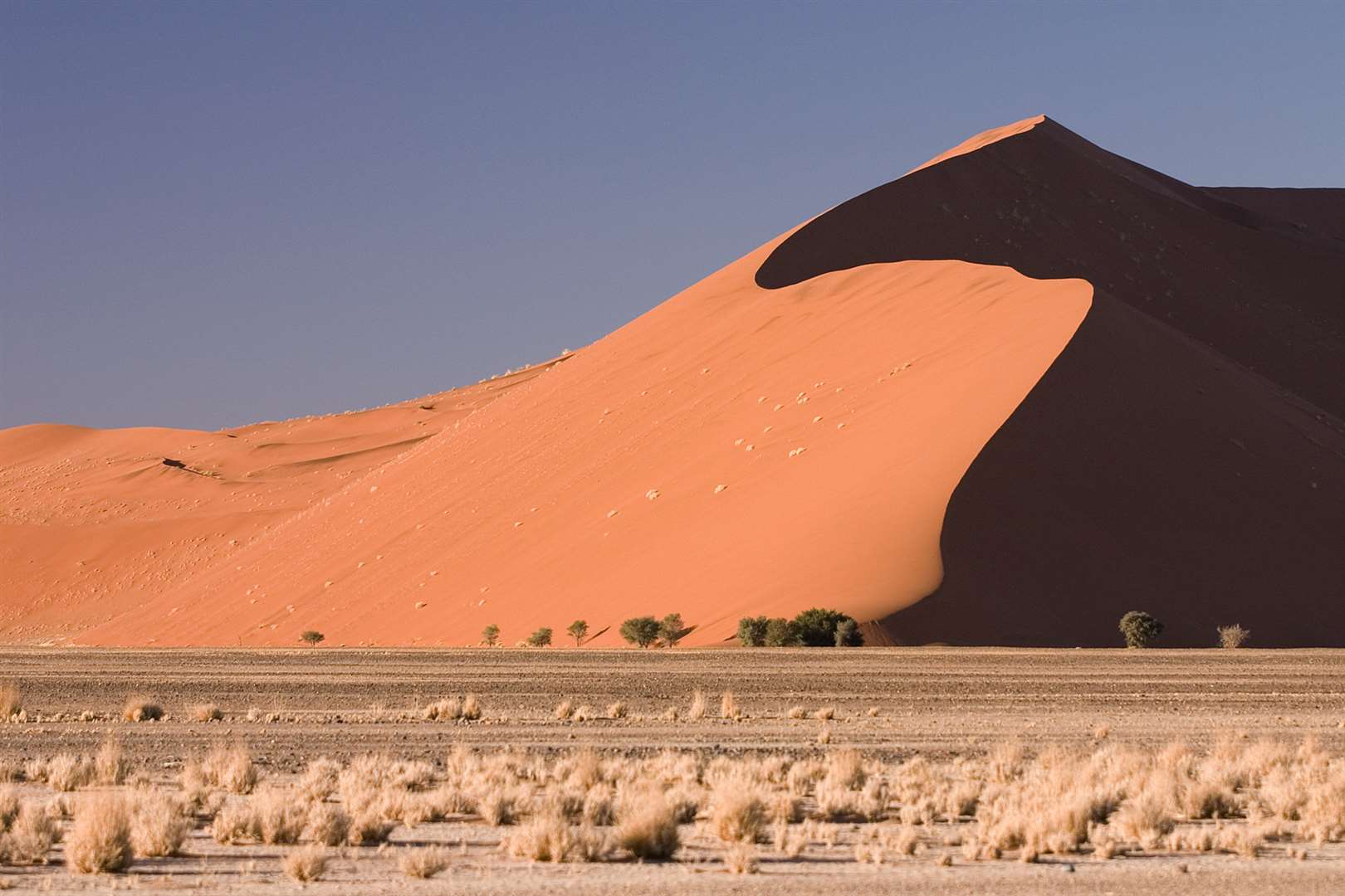 The highest sand dune in the world, in Namibia