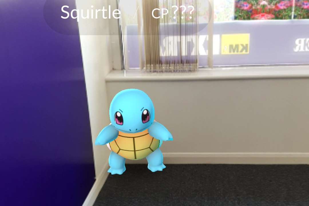 Squirtle was cornered in the KM's Gravesend office