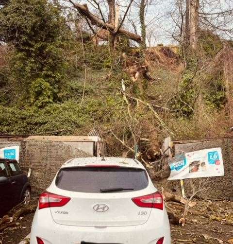 A tree landed on Steve Horne’s car while he and his son were in the Co-op store in River