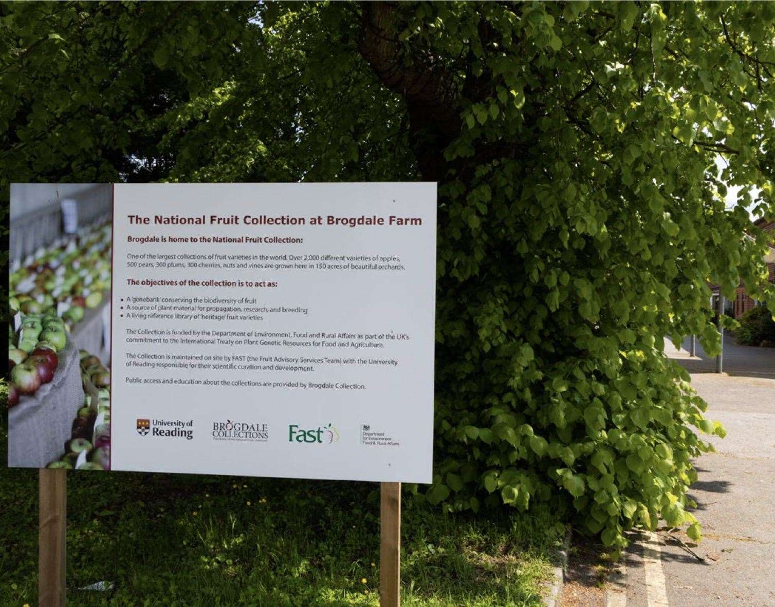 The National Fruit Collection is located at Brogdale Farm, Faversham. Picture: George Webb Finn