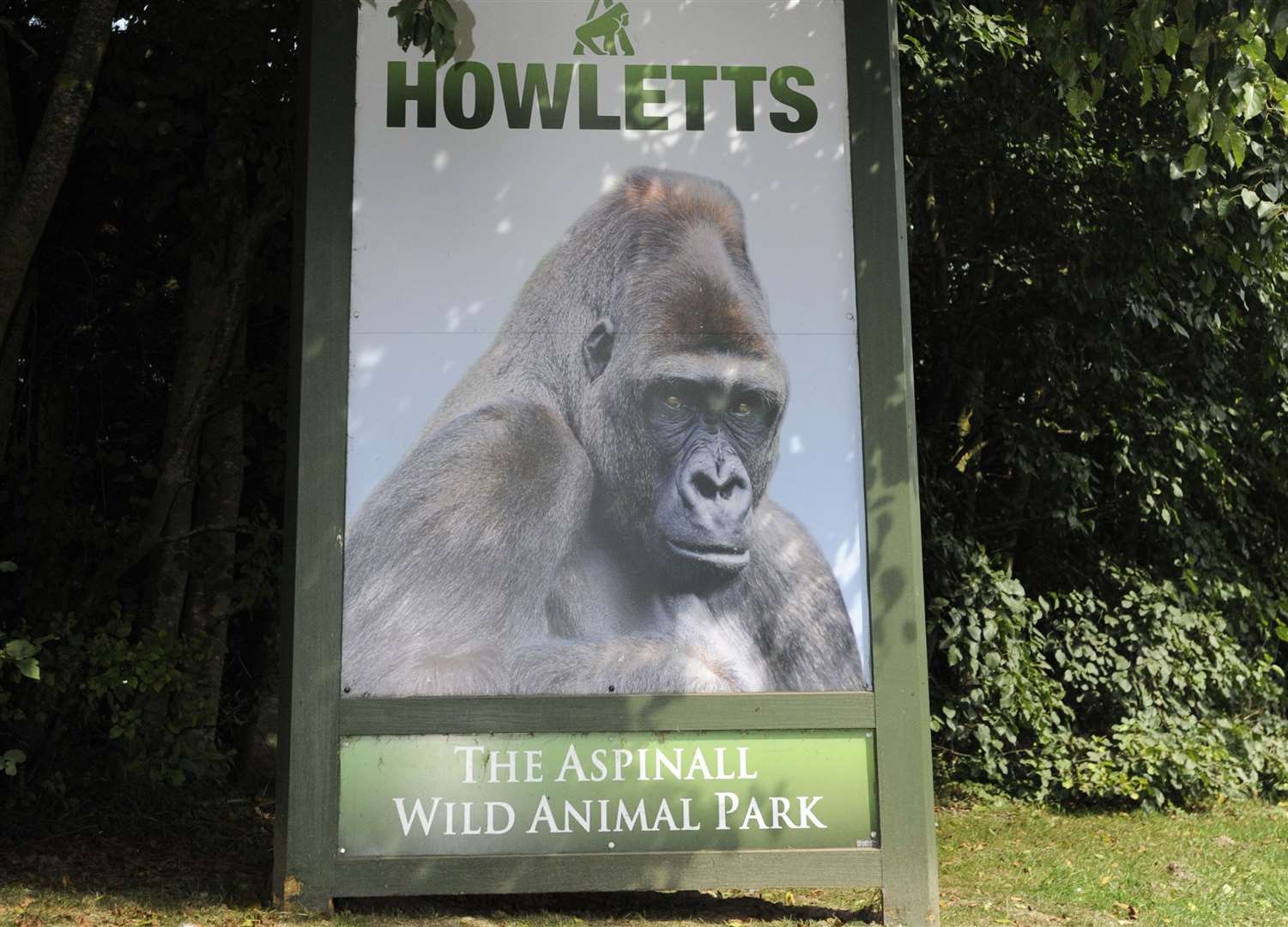 Howletts Wild Animal Park has shut