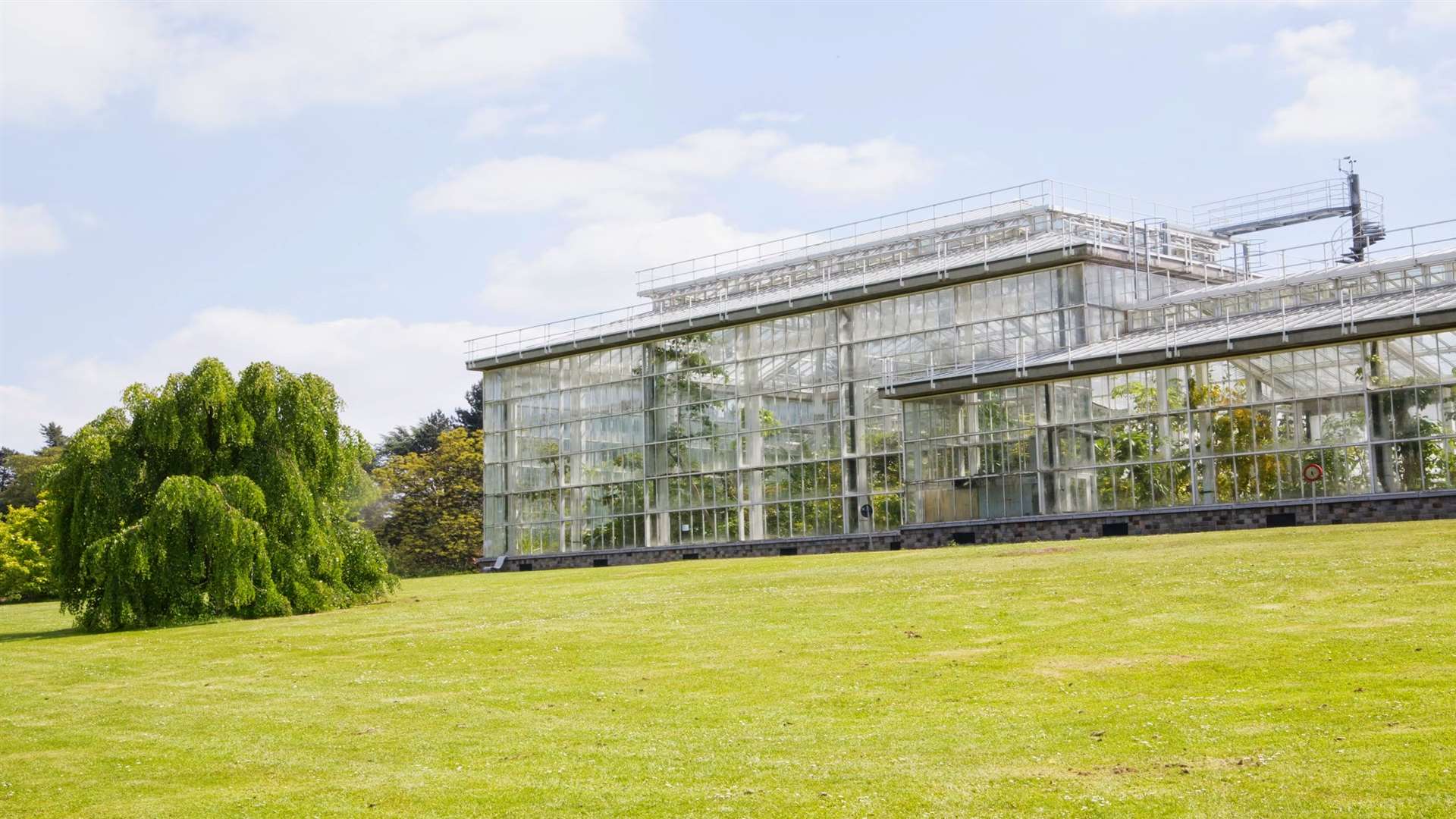 Meise Plant Palace houses thousands of unusual plants from across the world