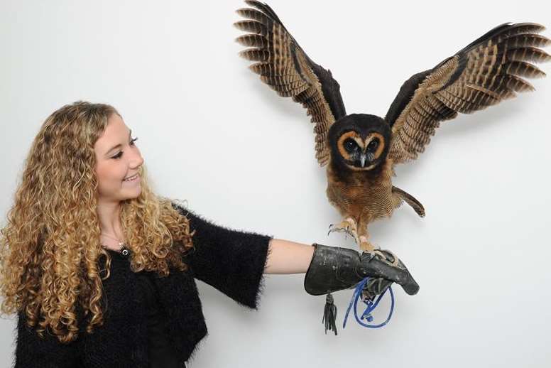 Haru the owl, with Natasha Welch, stretching his wings