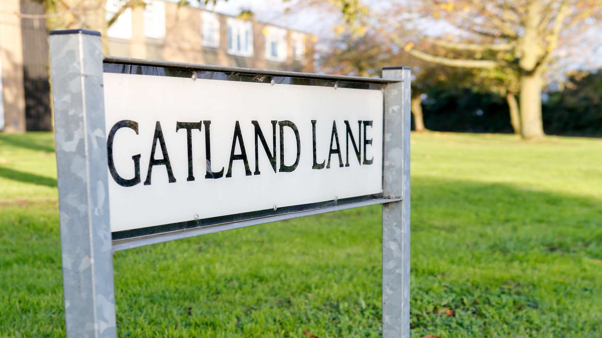Travellers have parked on land off Gatland Lane in Fant.